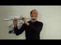 Ian Mullins Wooden Lip Plate