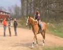 Costner Annons Costner Annons