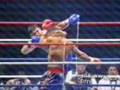 Compilation kick boxing,thai,boxe,karate et free fight.
