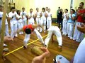 Jogo Banguela Morcego Kim Capoeira Brasil