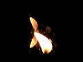 Antibuddhabrot Rotation Antibuddhabrot Rotation