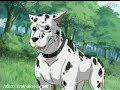 ova 27 parte 1 saint seiya the hades chapter elysion