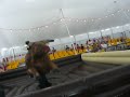 Stef Rod�o � Nigloland