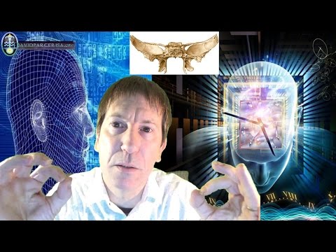 ¿UN HUESO CRANEAL PUEDE ACTIVAR NUESTROS PODERES PSÍQUICOS? El Misterioso Esfenoides