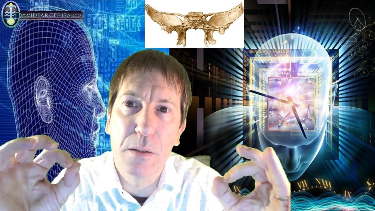 ¿UN HUESO CRANEAL PUEDE ACTIVAR NUESTROS PODERES PSÍQUICOS? El Misterioso Esfenoides