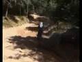 videos de 500cc 2-takt Treffen 2007 - nunspeet cr500 honda kawasaki yamaha 500 suzuki husqvarna mx motocross motorcross