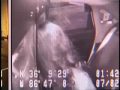 Steve McNair's Girlfriend Sahel Kazemi DUI Video