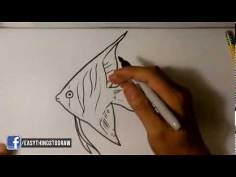 How to Draw an Angel Fish- Easy Drawings