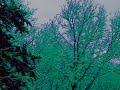 Our Winter Love