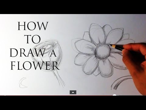 how to draw flowers step by step