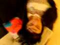 Sleeping at school Hilarious!!