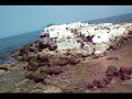 CASABLANCA CITY and Beach aerial video