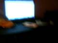 videos de bazan reggeton