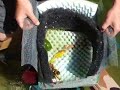 Home made pond skimmer filter.