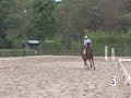 Hinault X Cantus Mare