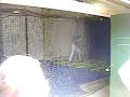 Rich Hill taking batting practice