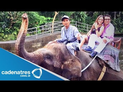 ELEFANTE