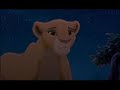 Simba\
