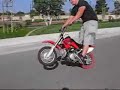 go-ped & 50 stunts