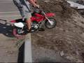 go-ped & 50 stunts