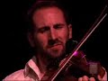 punch brothers perform 