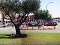 Avenida Pompeu Fabra de Empuriabrava en 360 grados