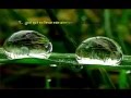 Profesores Solares Bogota - Respiracion