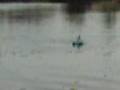 roger's homemade airboat