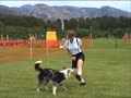 Blue Boy first dog dancing trial - 10 mai 2008 Blue Boy first dog dancing trial - 10 mai 2008