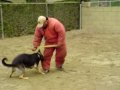 french ring sport