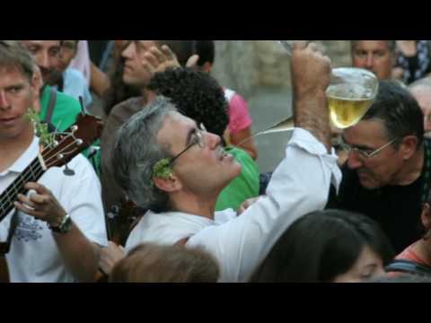 Ver el Video