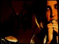 RISHLOO: Freaks &amp; Animals Music video