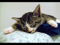 zzzzzzz