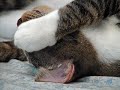 zzzzzzz