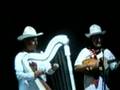 ensamble folklorico de veracruz- VERSOS JAROCHOS