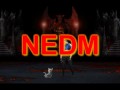 KITANA NEDM FATALITY