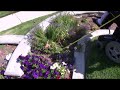 Wheelchair 60-Inch Weed Twister vs Weeds in Flowerbed
