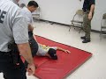 CATI TAZED