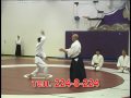 aikido,yoshinkan,seminar