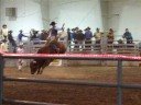 Bullfest 2008
