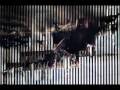 videos de 911 Science vs  Conspiracy Theories