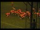 1989 Nelsonville-York Gamewinner