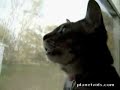 chien-fontaine-terrible.html
