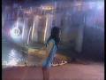 videos de el amol tres belle chanson de lio.avi
