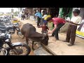 Social Traveling in India - Biking South India - Bangalore