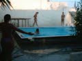 Monaco-Diving-Team-q