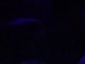 zakkpart5,pink cloud(part3), believe(part1)live at zakk-d�sseldorf,13.12.2001