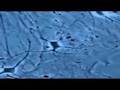 arte tv-drogues et cerveau-cannabis 1/5