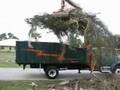 Picking up brush in Sebring