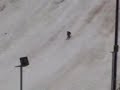 Espen Lund Backflip Gaukrenn 2007